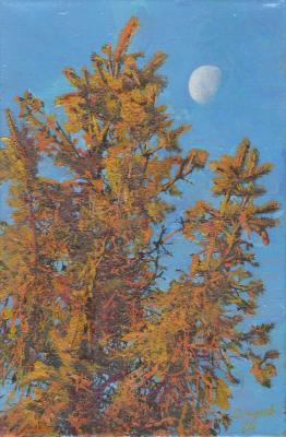 ��� � �������� ����. ������ �����