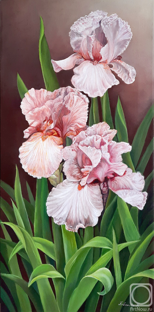 ������� ������ �� ������. �������� �������. �����