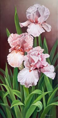 �����. �������� �������