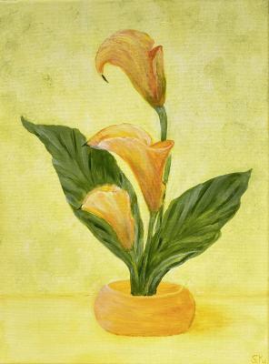 ����� � ������� �� ������. ������� ��������