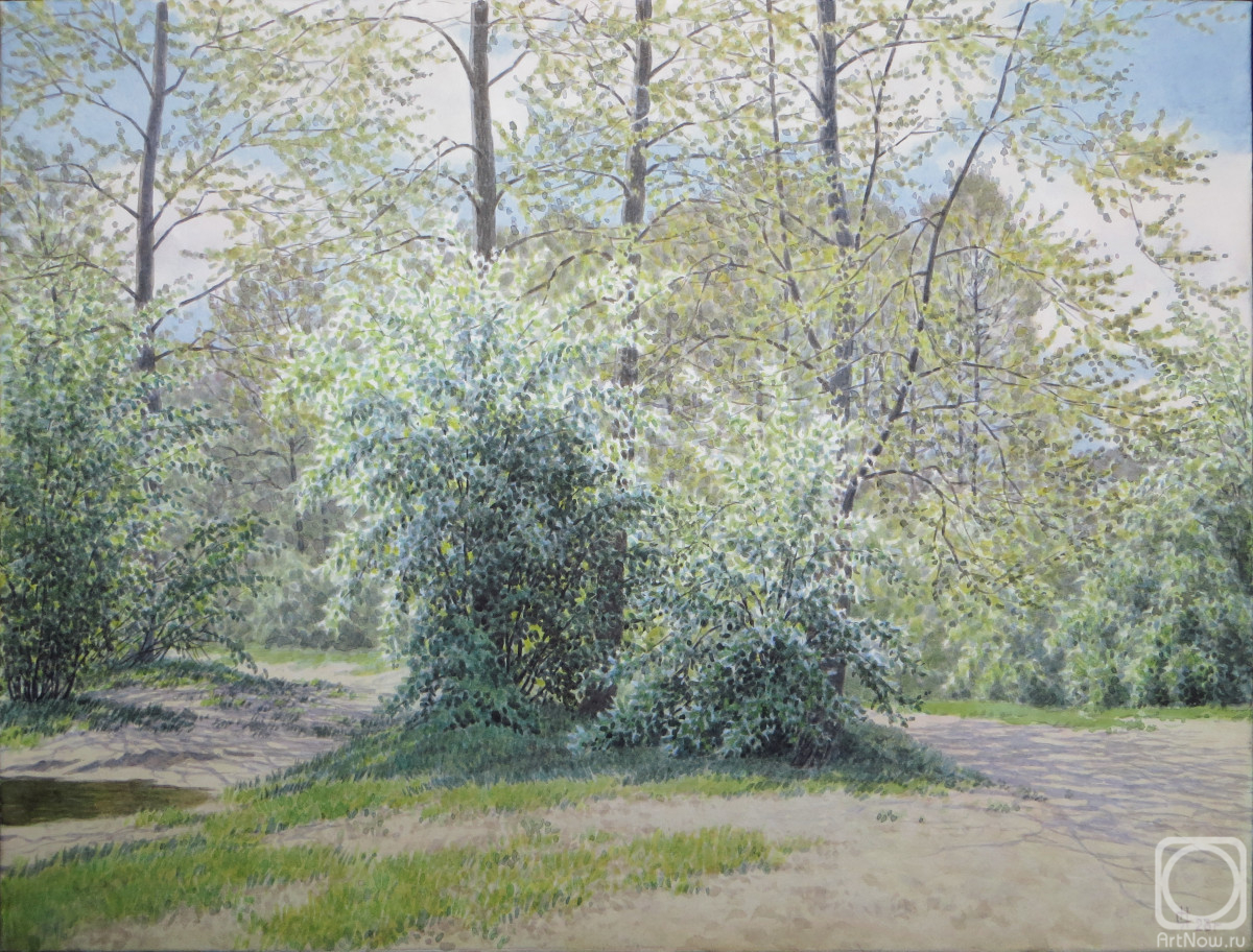 �������. ������� �������. ������� ��������