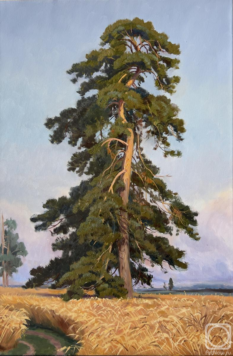 ������� ������ �� ������. �������� ��������. ����� ��������� ������� �.�. ������� "����"