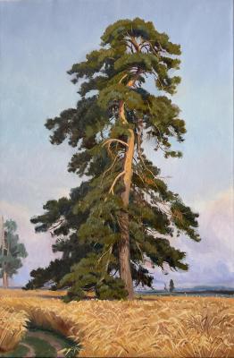 ����� ��������� ������� �.�. ������� "����". �������� ��������