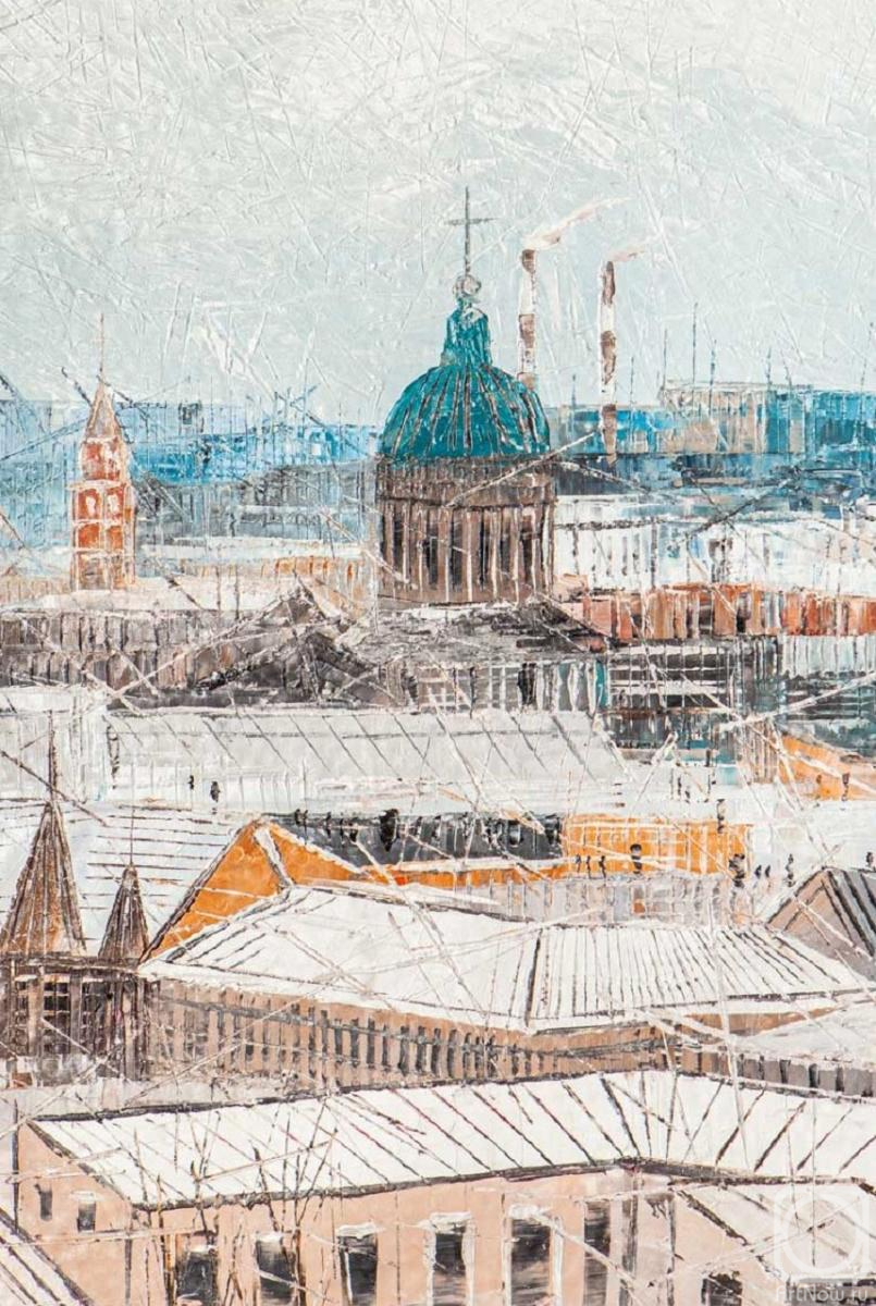 Lorti Dzhoui. Roofs of St. Petersburg. View of the Kazan Cathedral