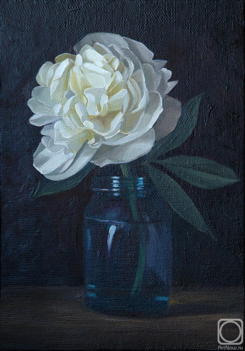 ������� ������ �� ������. ���������� ���������. ����