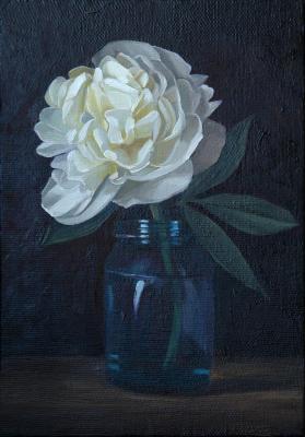 ����. ���������� ���������