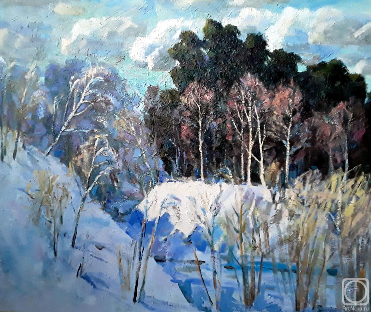 Knecht Aleksander. Basandai cedar forest