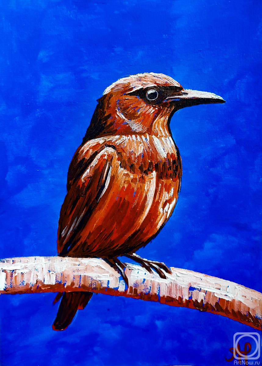 �������. ������ �����. �����