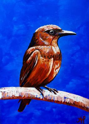 �����. ������ �����