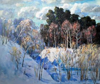 Basandai cedar forest. Knecht Aleksander