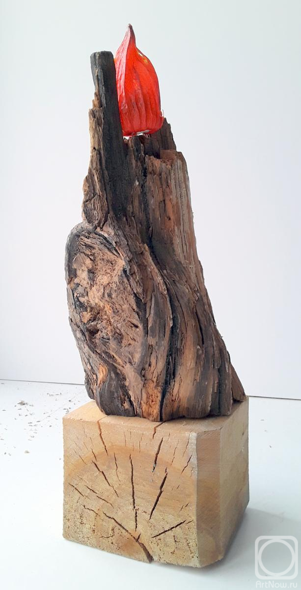 ����� ���������. ������ ������