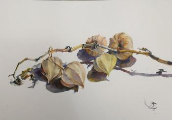 ������� �� ����� ����. ������ ����