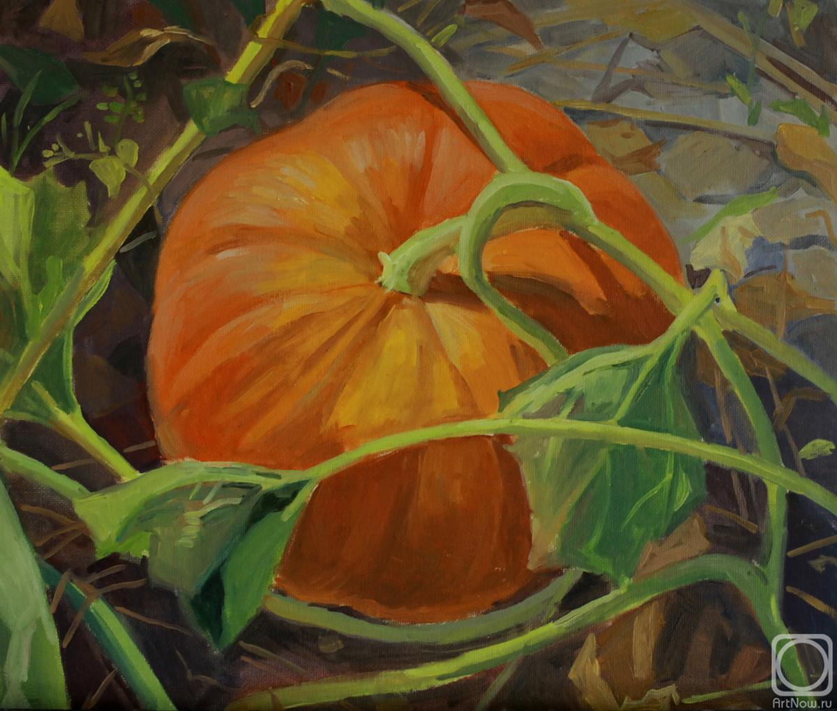 ������� ������ �� ������. �������� ���. �����