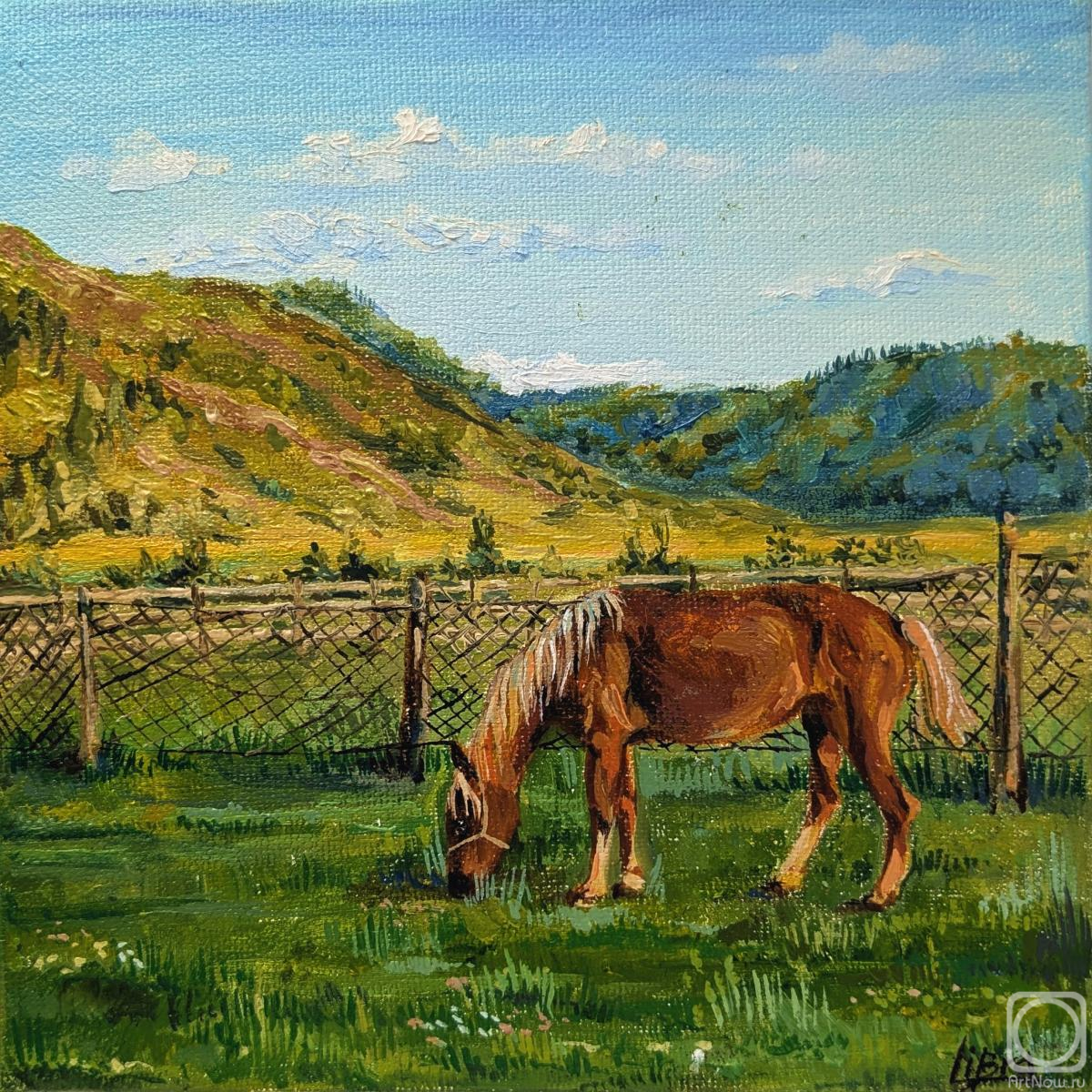 ������� ������ �� ������. ����� ������. ������ �� ��������. ����������� ������� � ������ ���