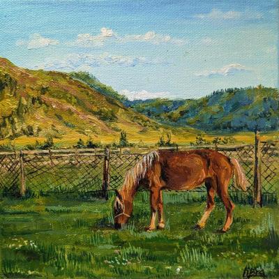 ������ �� ��������. ����������� ������� � ������ ���. ����� ������