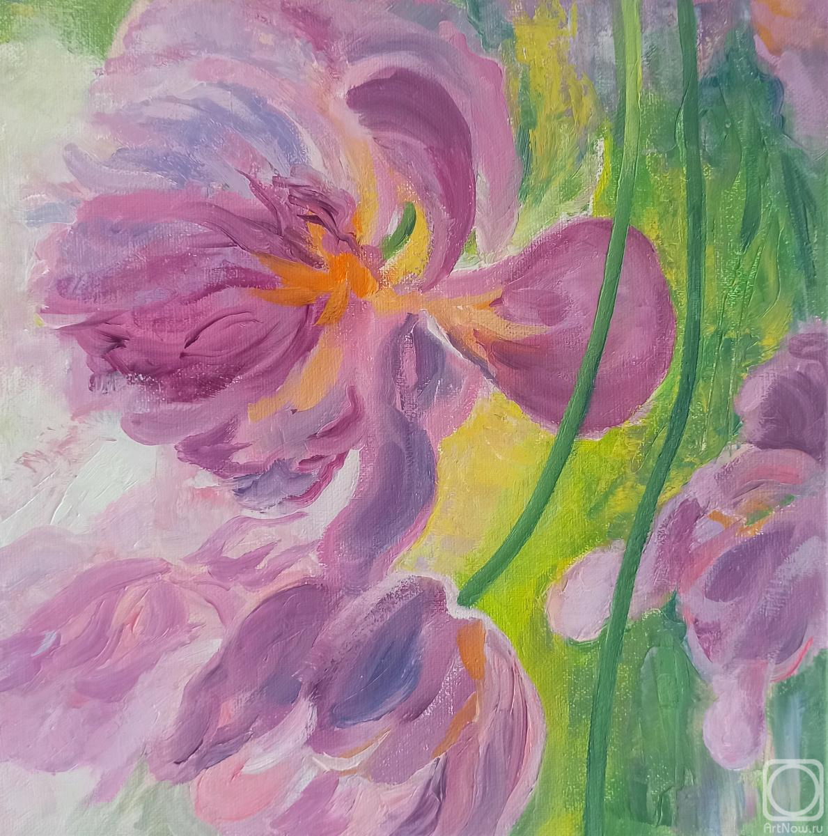 ������� ������ �� ������. ���������� ����. ������� �������� 1