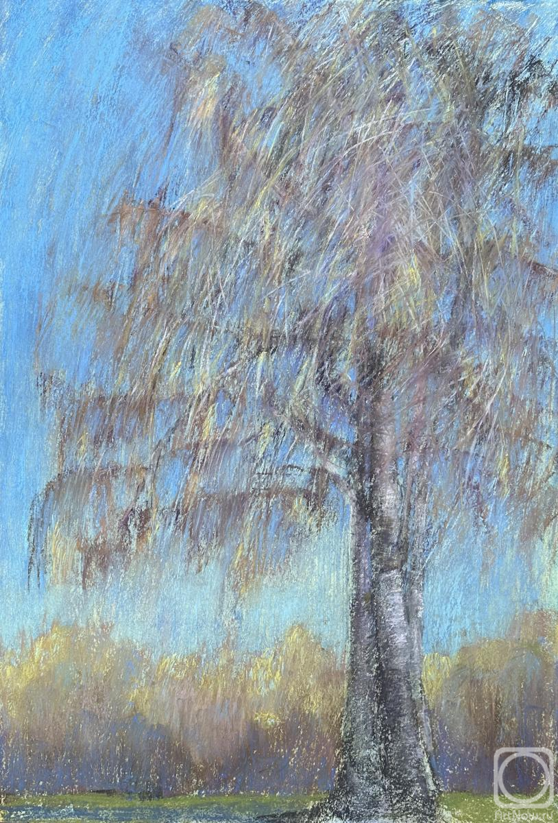 �������. �������� �������. ������ � ������