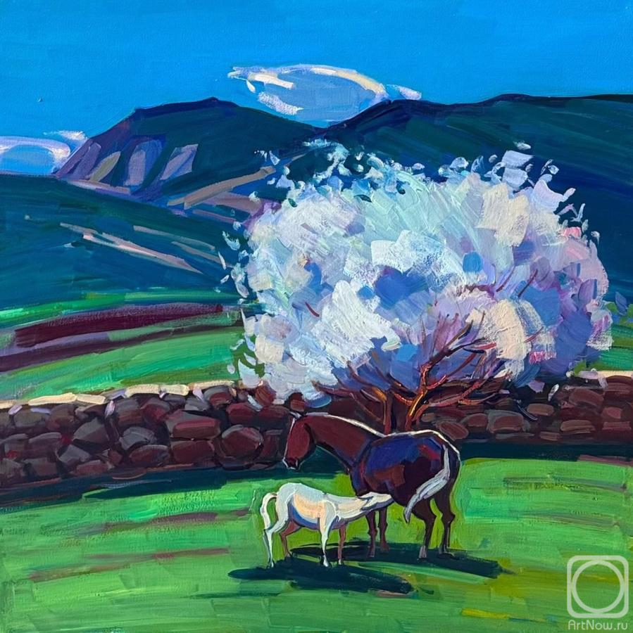 ������� ������ �� ������. ������� ����. ������� ������