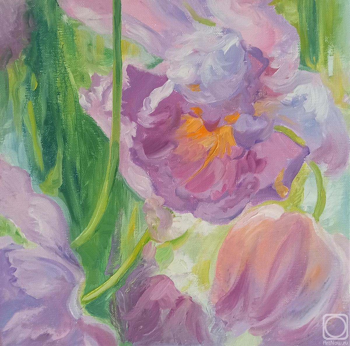 ������� ������ �� ������. ���������� ����. ������� �������� 2