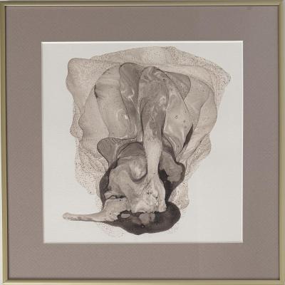 ����� ������ �����. �������� ��������