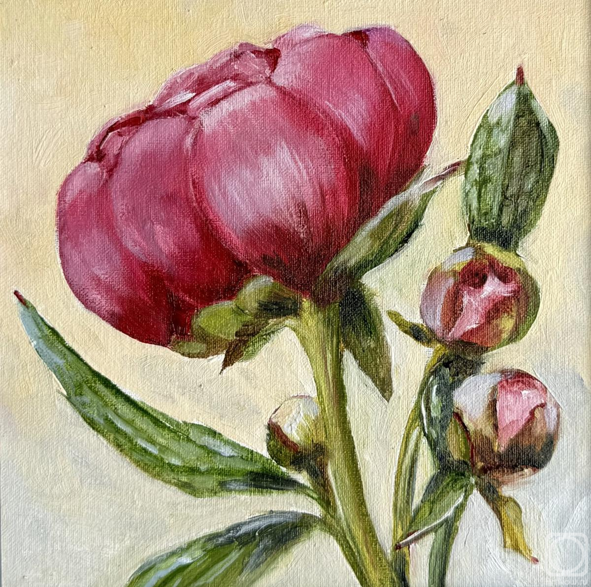 ������� ������ �� ������. �������� ����. ��������� ������������