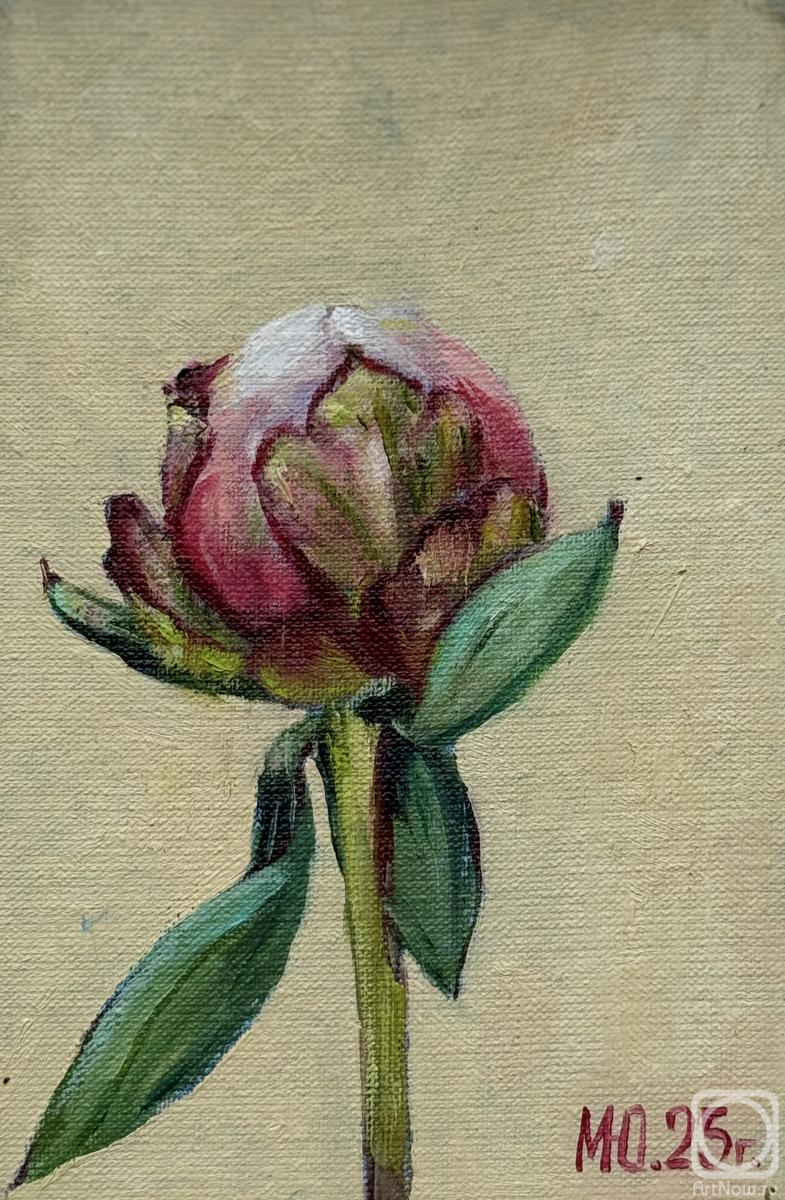 ������� ������ �� ������. �������� ����. ��� �� ��������