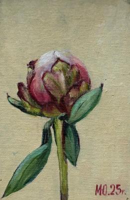 ��� �� ��������. �������� ����