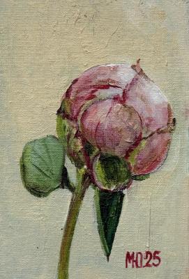 ����������� ��������. �������� ����