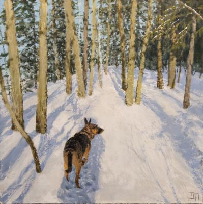 ������� ���������