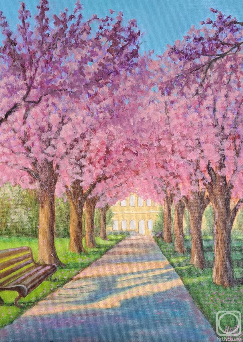 ������� ������ �� ������. ������� ��������. ���������� ����� ������