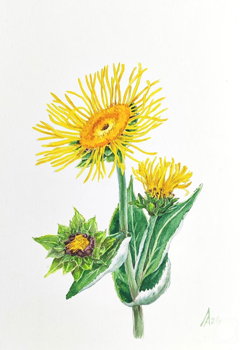 �������. ������ �������. �������