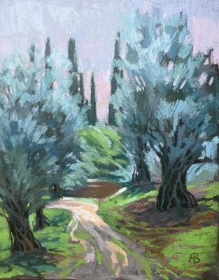 Abkhazia. Olive Alley. Vedeshina Zinaida