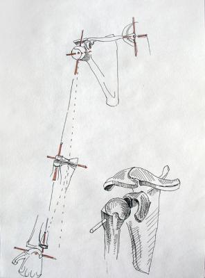 Human Skeleton. Scheme of an Arm Motion. Yudaev-Racei Yuri