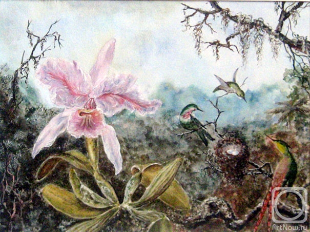 �������. �������� ���������. �������