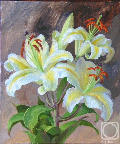 ������� ������ �� ������. �������� ��������. ���� �����