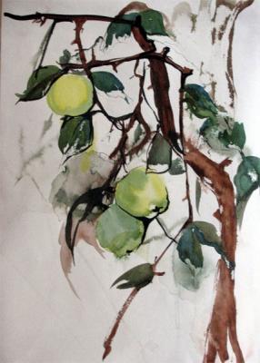 ������� ��������