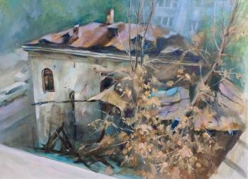 View from the window 1. Saratov, Michurin/Nekrasov Street. Kotova Larisa