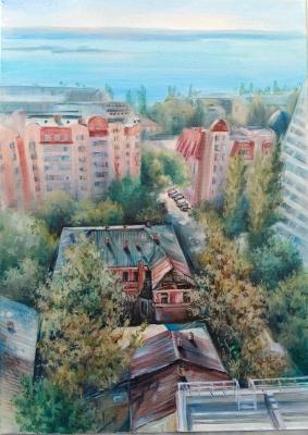 View from the window 3. Saratov, Michurin Street. Kotova Larisa