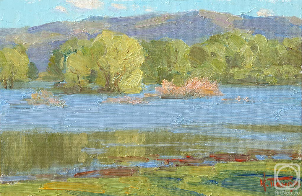 Panov Igor. On the flood meadows
