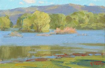 On the flood meadows. Panov Igor