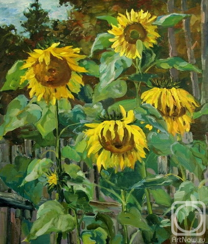 Galimov Azat. Nemyatovo. The Sunflowers