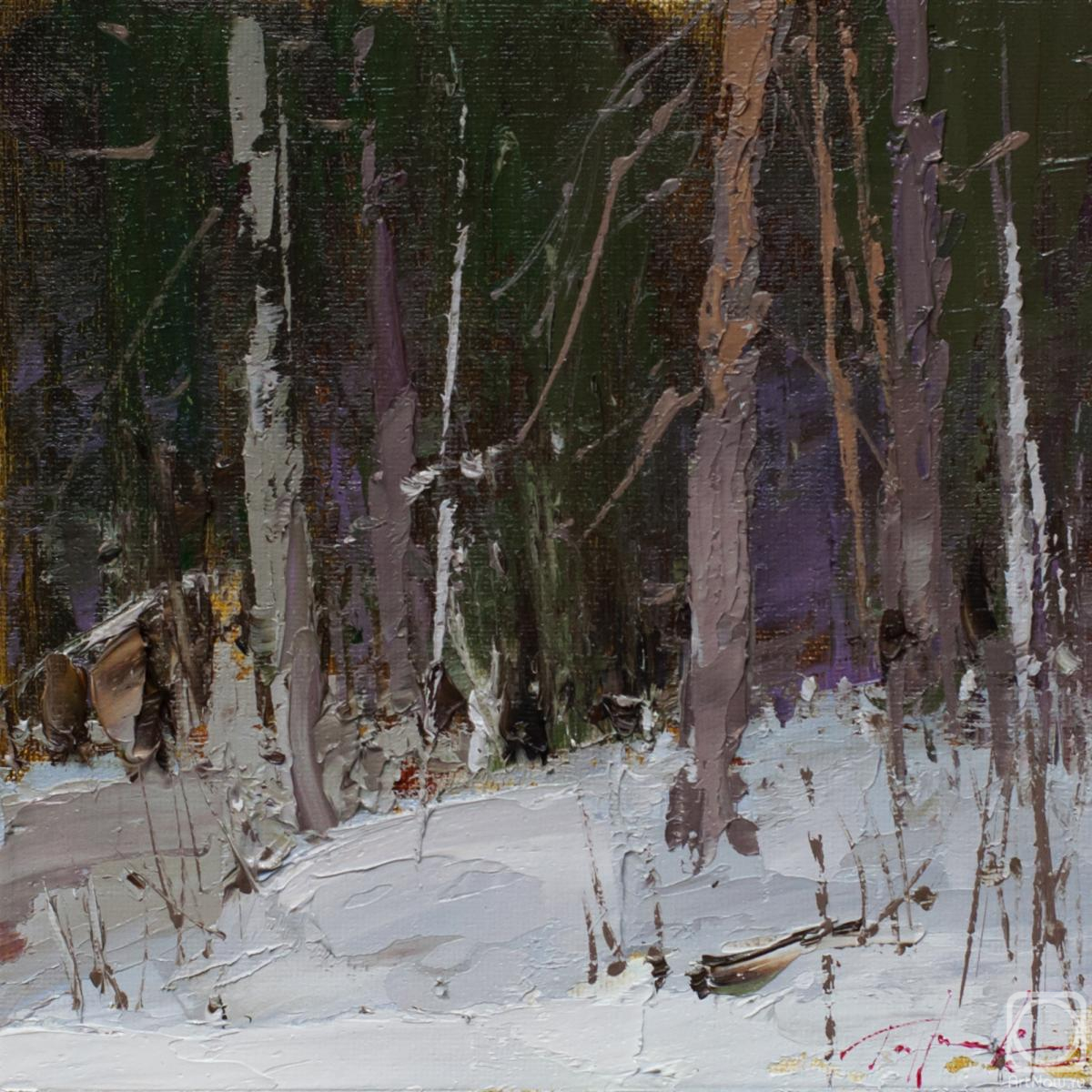 Burtsev Evgeny. Forest walks