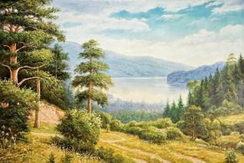 Summer forest