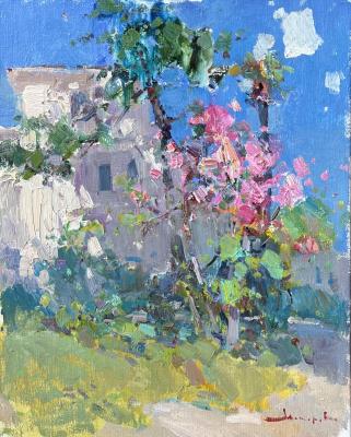 Spring flowering of Crimea. Makarov Vitaly