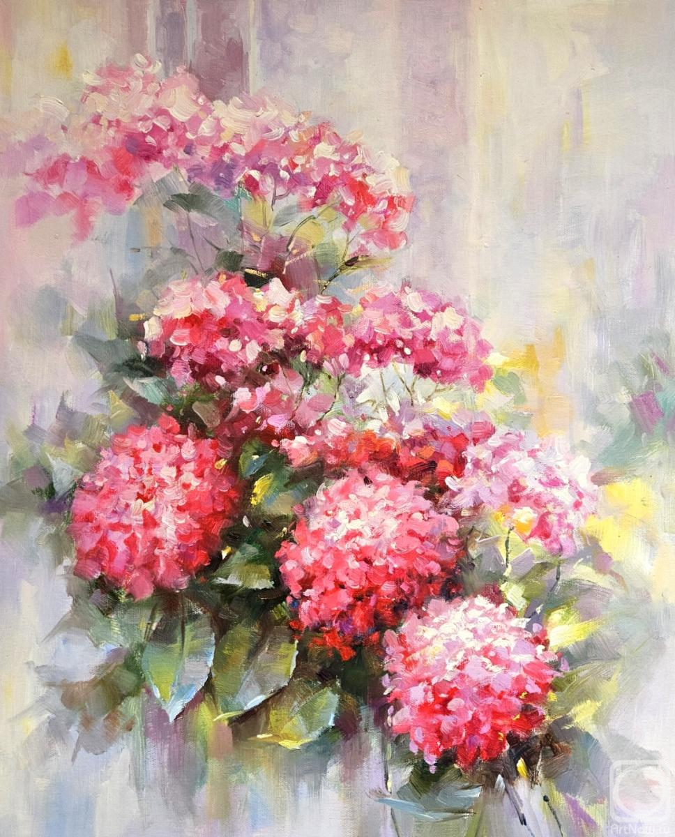 Dzhanilyatti Antonio. Hydrangea