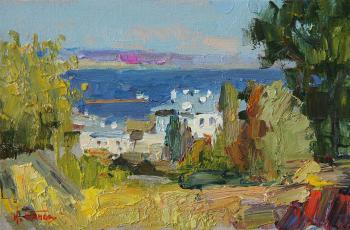 Houses by the river