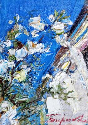The apple tree blooms. Biryukova Lyudmila