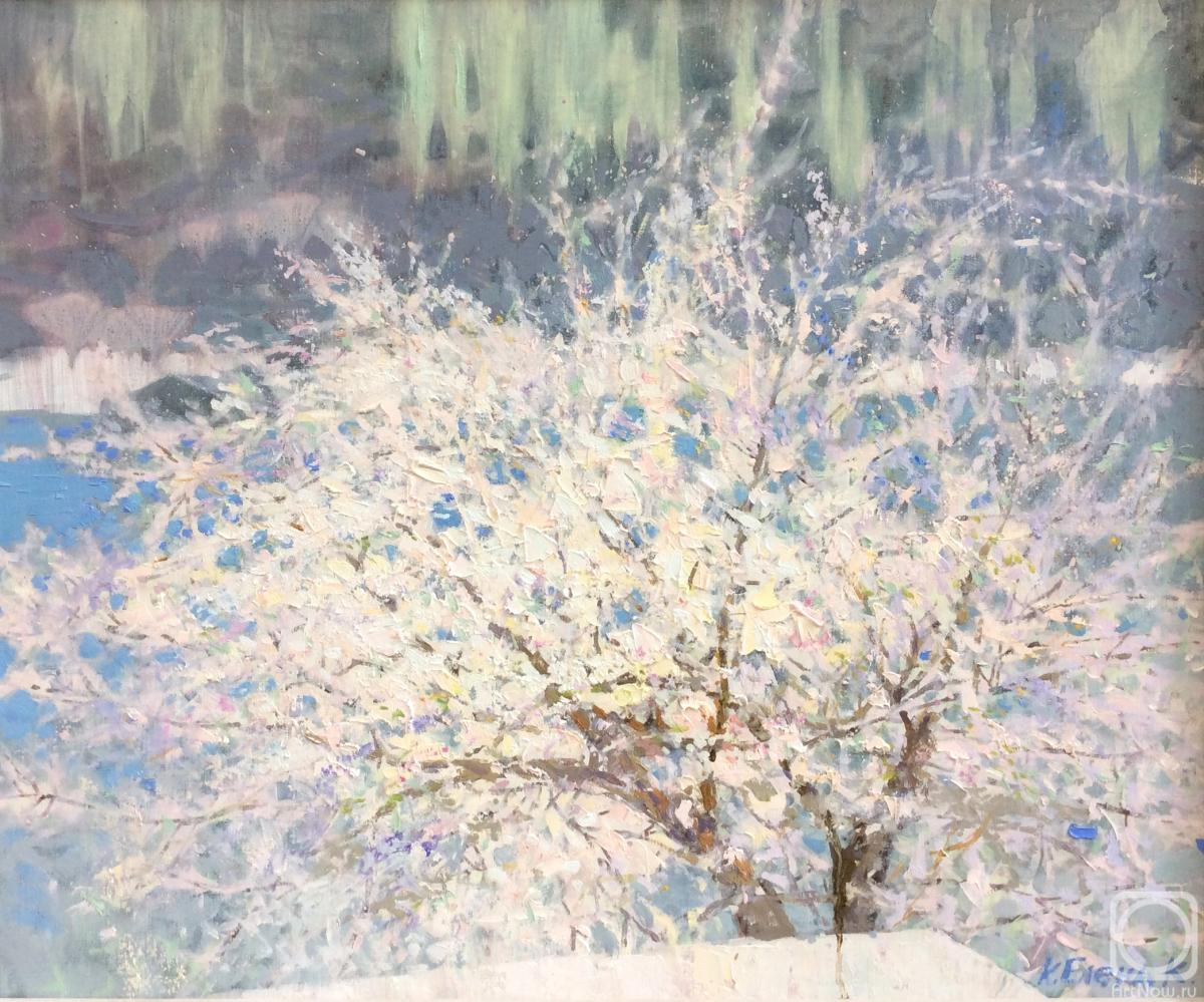 Komarova Elena. Untitled