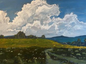 Cumulus clouds over the field