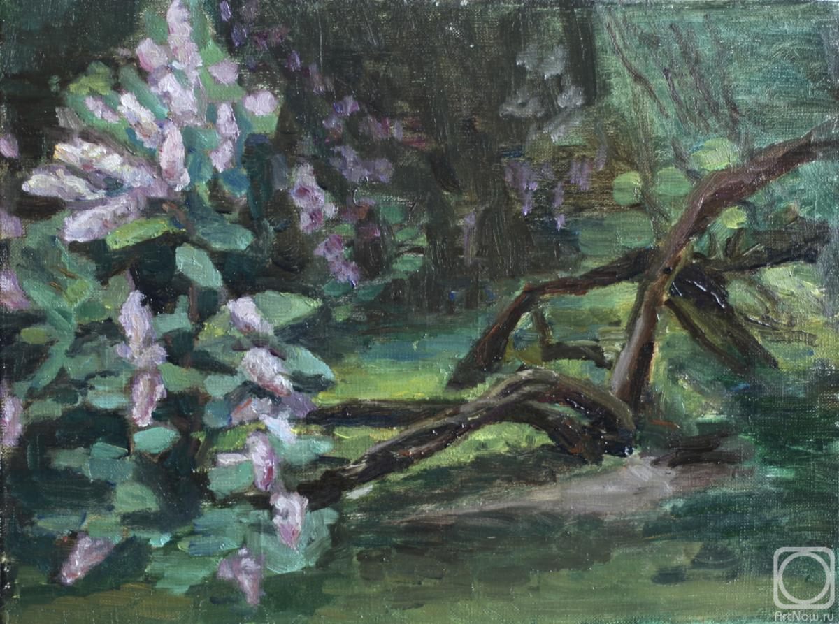 Provadia Anna. Untitled